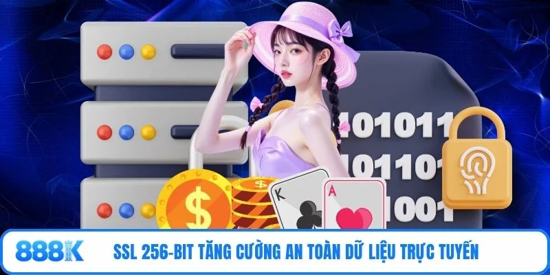 SSL 256-bit tăng cường an toàn dữ liệu trực tuyến 